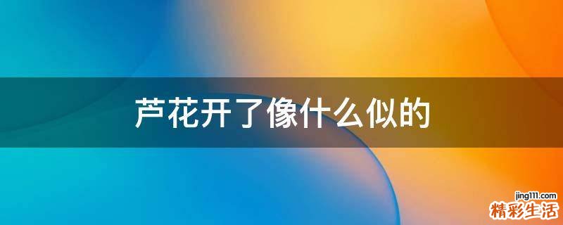 芦花开了像什么似的