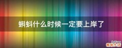 蝌蚪什么时候一定要上岸了
