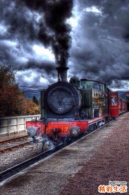 脆皮炸鸡有什么配料