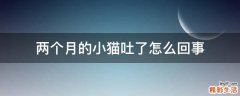 两个月的小猫吐了怎么回事