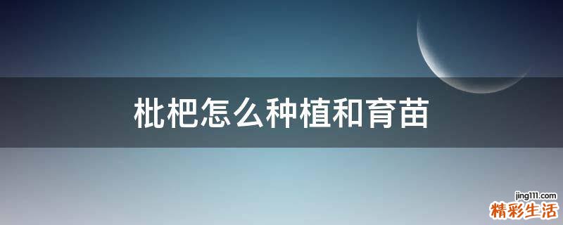 枇杷怎么种植和育苗