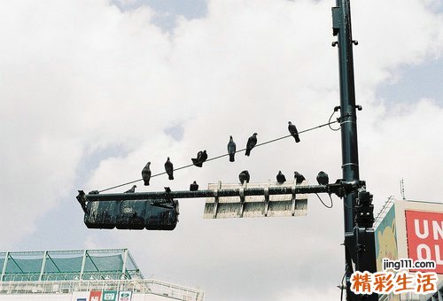 六道美容养颜汤 喝出水嫩肌肤