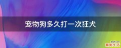 宠物狗多久打一次狂犬