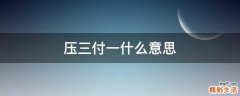 压三付一什么意思