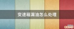 变速箱漏油怎么处理