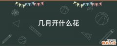 几月开什么花