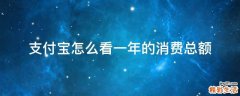支付宝怎么看一年的消费总额