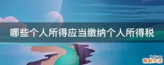 哪些个人所得应当缴纳个人所得税
