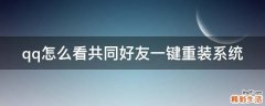qq怎么看共同好友一键重装系统