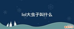 lol大虫子叫什么