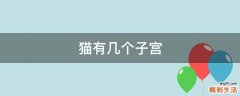 猫有几个子宫