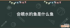 会喷水的鱼是什么鱼