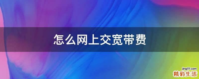 怎么网上交宽带费