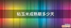粘玉米成熟期多少天