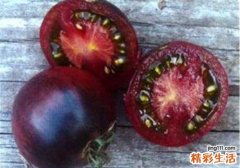 紫番茄孕妇可以吃吗