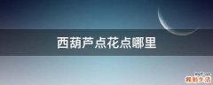 西葫芦点花点哪里