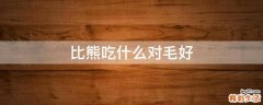 比熊吃什么对毛好