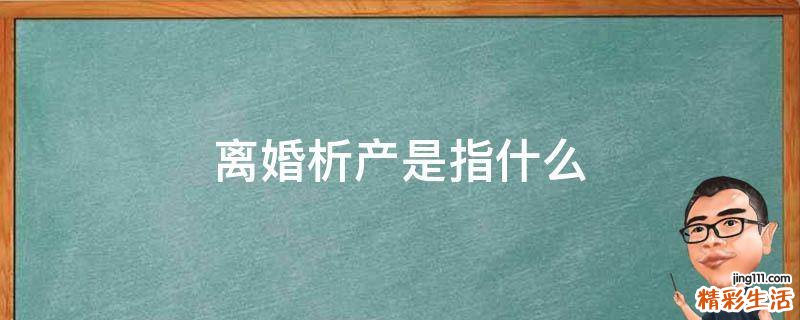 离婚析产是指什么