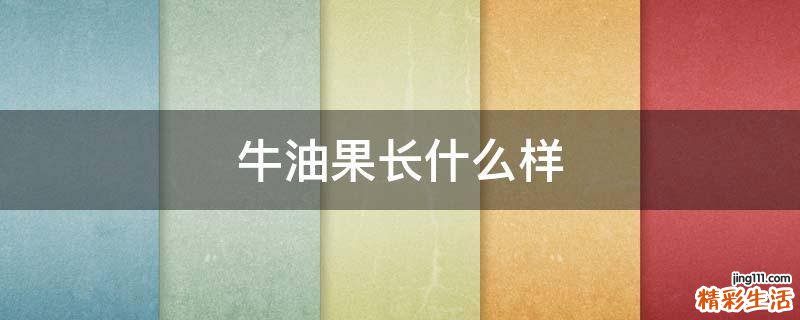 牛油果长什么样
