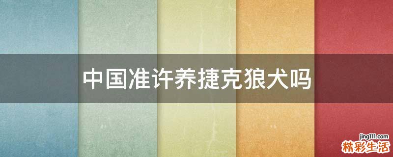 中国准许养捷克狼犬吗