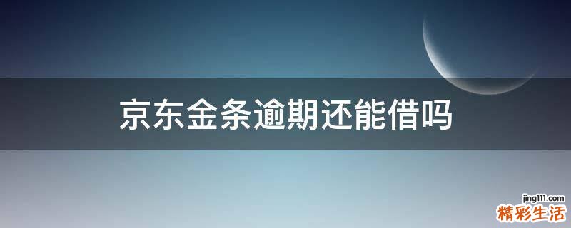 京东金条逾期还能借吗