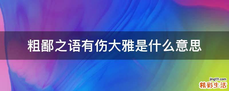 粗鄙之语有伤大雅是什么意思