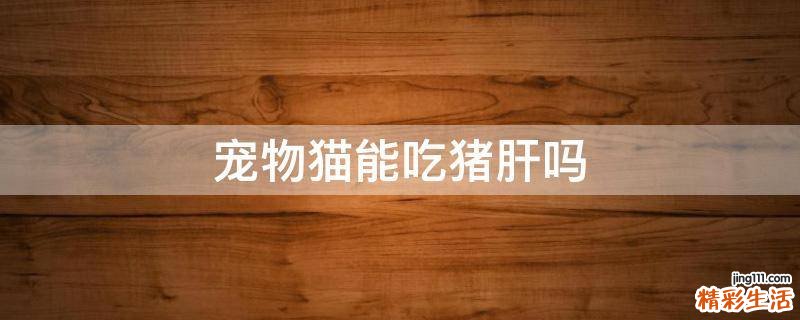 宠物猫能吃猪肝吗