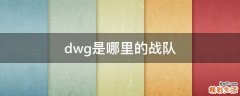 dwg是哪里的战队