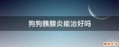 狗狗胰腺炎能治好吗