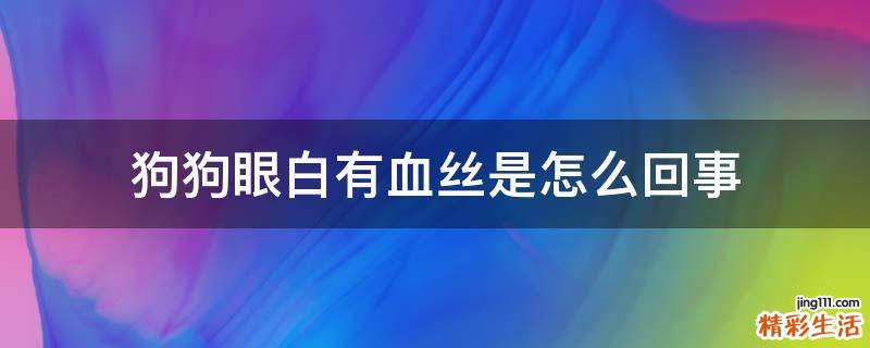 狗狗眼白有血丝是怎么回事
