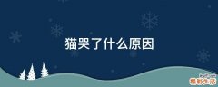 猫哭了什么原因