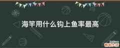 海竿用什么钩上鱼率最高