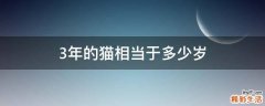 3年的猫相当于多少岁