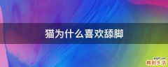 猫为什么喜欢舔脚