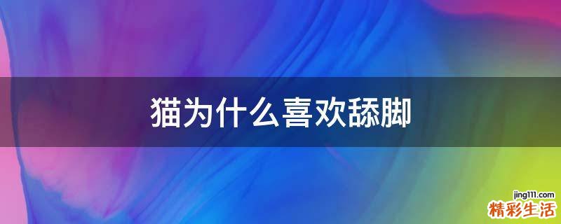 猫为什么喜欢舔脚