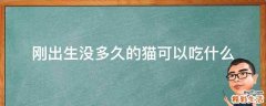 刚出生没多久的猫可以吃什么