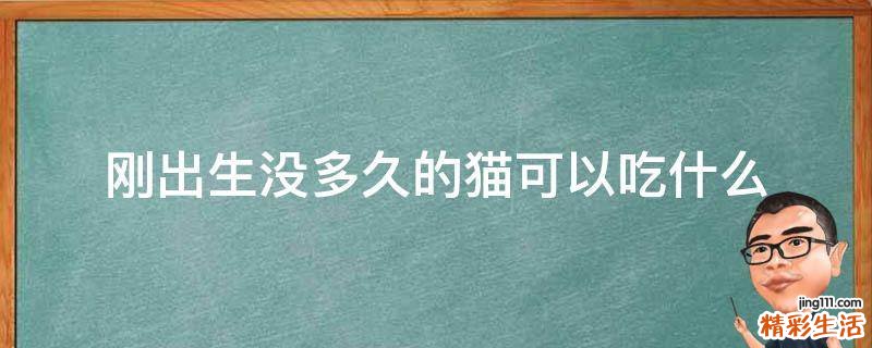 刚出生没多久的猫可以吃什么