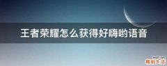 王者荣耀怎么获得好嗨哟语音