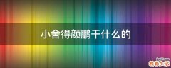 小舍得颜鹏干什么的