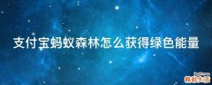 支付宝蚂蚁森林怎么获得绿色能量