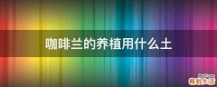 咖啡兰的养植用什么土