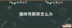 猫咪有眼屎怎么办
