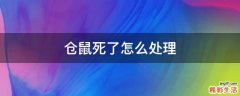 仓鼠死了怎么处理
