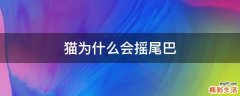 猫为什么会摇尾巴