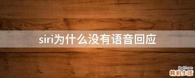 siri为什么没有语音回应