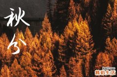 今年的秋分是哪一天,2023年秋分是几点几分几秒