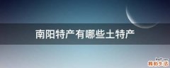 南阳特产有哪些土特产