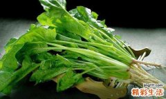 菠菜糖尿病人能吃吗