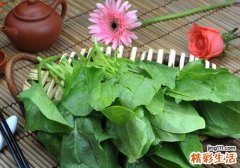 尿酸高为什么不能吃菠菜