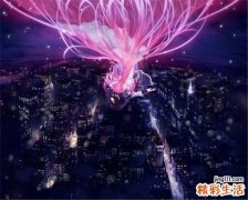 猪肚鸡的做法步骤